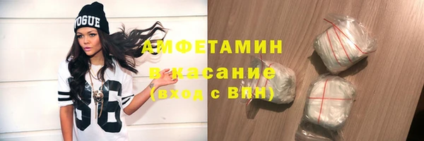гидра Санкт-Петербург