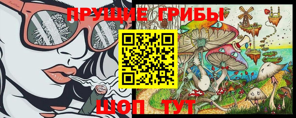 Галлюциногенные грибы GOLDEN TEACHER  Псилоцибиновые грибы Psilocybe  Шали  Вход с VPN 