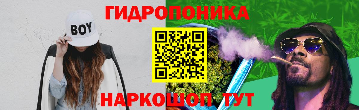 Каннабис конопля Шали