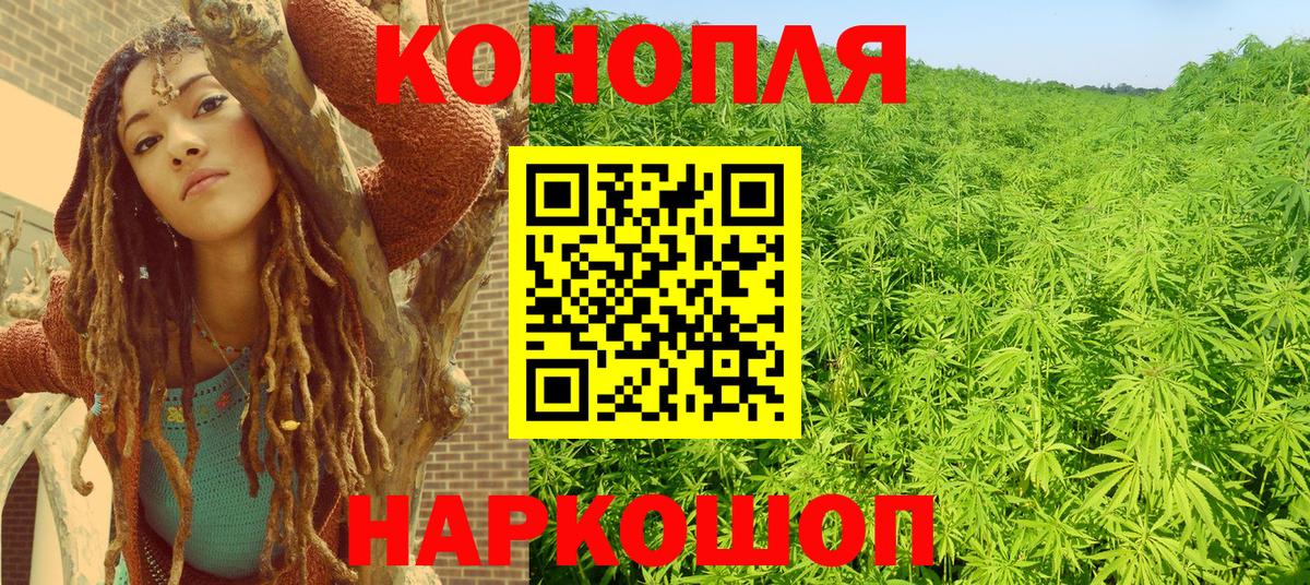Канабис ГИДРОПОН Шали